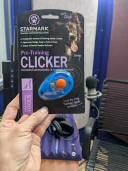 A bright blue dog training clicker with an orange center button is in the foreground, while the background is Arielle DeLisle's professional home recording studio.